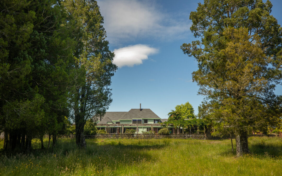 Woodland Glen Lodge & BnB