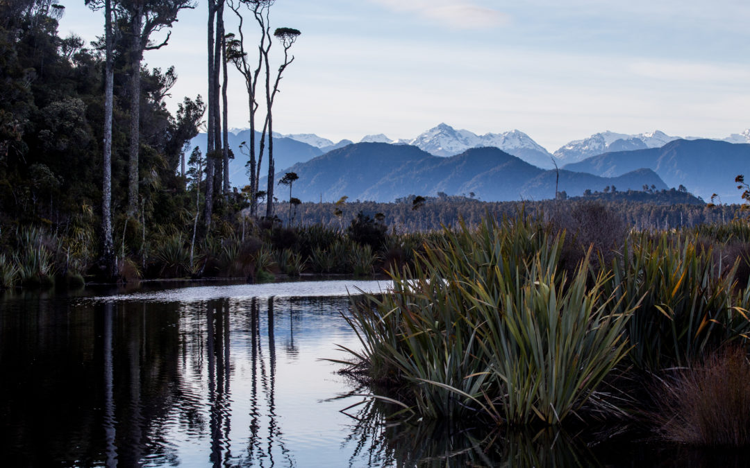 Lake Mahinapua Bush Beach